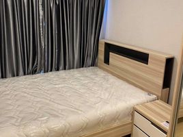 1 Schlafzimmer Wohnung zu verkaufen im Plum Condo Rangsit Alive, Khlong Nueng