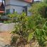  Land for sale at Baan Maneekram-Jomthong Thani, Wichit