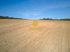  Land for sale at Al Mushrif, Mushrif Park