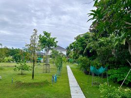  Grundstück zu verkaufen in Hua Hin, Prachuap Khiri Khan, Thap Tai, Hua Hin