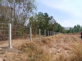  Grundstück zu verkaufen in Kaeng Khro, Chaiyaphum, Chong Sam Mo