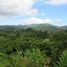  Land for sale in Aguirre, Puntarenas, Aguirre