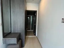 1 Bedroom Condo for rent at Elio Del Nest, Bang Na, Bang Na, Bangkok