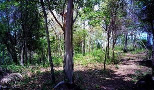 N/A Land for sale in Maret, Koh Samui 