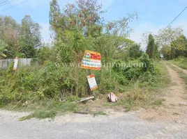  Grundstück zu verkaufen in Sai Noi, Nonthaburi, Nong Phrao Ngai, Sai Noi, Nonthaburi, Thailand