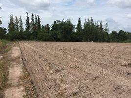  Grundstück zu verkaufen in Tha Yang, Phetchaburi, Khao Krapuk, Tha Yang