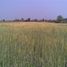  Land for sale in Madhya Pradesh, Bhopal, Bhopal, Madhya Pradesh