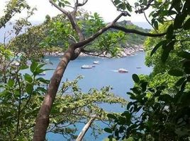  Land for sale in Ko Tao, Ko Pha-Ngan, Ko Tao