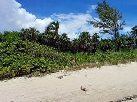  Grundstück zu verkaufen in Cozumel, Quintana Roo, Cozumel, Quintana Roo