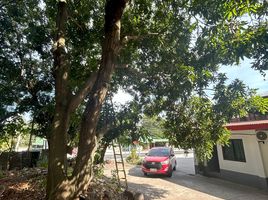  Land for sale in Dauin, Negros Oriental, Dauin