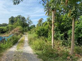  Grundstück zu verkaufen in Nakhon Luang, Phra Nakhon Si Ayutthaya, Nakhon Luang, Nakhon Luang