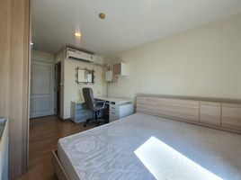 1 Schlafzimmer Wohnung zu verkaufen im The Link Advance Sukhumvit 50, Phra Khanong