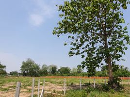  Land for sale in Nang Lae, Mueang Chiang Rai, Nang Lae