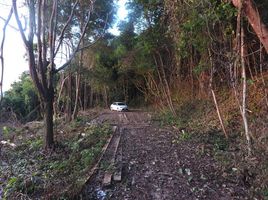  Grundstück zu verkaufen in Thalang, Phuket, Thep Krasattri