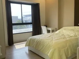 1 Schlafzimmer Wohnung zu vermieten im S 1 Rama 9, Suan Luang, Suan Luang