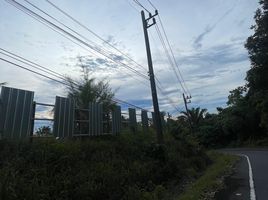  Grundstück zu verkaufen in Thalang, Phuket, Choeng Thale, Thalang