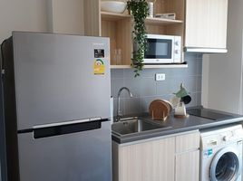 1 Bedroom Condo for rent at Ideo O2, Bang Na, Bang Na, Bangkok