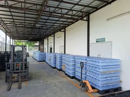 2 Bedroom Warehouse for sale in Pathum Thani, Na Mai, Lat Lum Kaeo, Pathum Thani