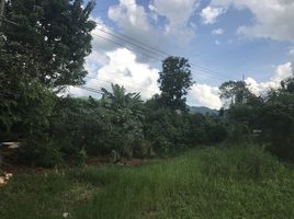  Grundstück zu verkaufen in Sai Yok, Kanchanaburi, Tha Sao, Sai Yok, Kanchanaburi