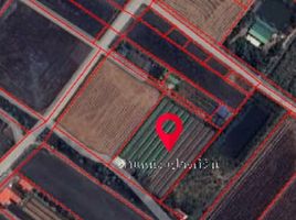  Land for sale in Thawi Watthana, Sai Noi, Thawi Watthana