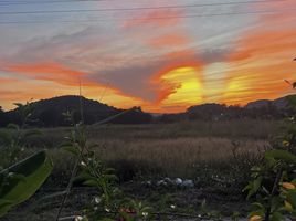 ขายที่ดิน ใน เมืองลำพูน ลำพูน, ศรีบัวบาน, เมืองลำพูน