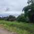  Land for sale in Chiang Mai, Makhun Wan, San Pa Tong, Chiang Mai