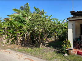  Grundstück zu verkaufen in Takua Thung, Phangnga, Khok Kloi, Takua Thung, Phangnga