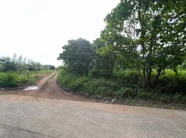  Land for sale in Thalang, Phuket, Mai Khao, Thalang
