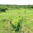  Land for sale in Presidente Figueiredo, Presidente Figueiredo, Presidente Figueiredo