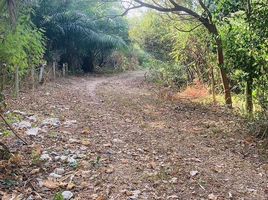  Land for sale in Rawai, Phuket Town, Rawai