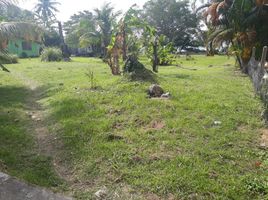  Land for sale in Phuket, Pa Khlok, Thalang, Phuket