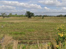  Grundstück zu verkaufen in Chakkarat, Nakhon Ratchasima, Si Lako, Chakkarat