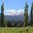  Land for sale in Chile, Entre Lagos, Osorno, Los Lagos, Chile