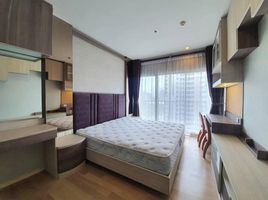 1 Schlafzimmer Wohnung zu vermieten im Noble Refine, Khlong Tan