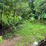  Land for sale in Phuket, Choeng Thale, Thalang, Phuket