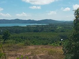  Grundstück zu verkaufen in Thalang, Phuket, Thep Krasattri