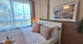 D Condo Kathu-Patong 在售单元