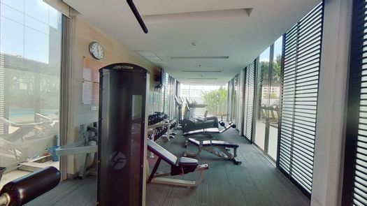 3D视图 of the Communal Gym at The Madison