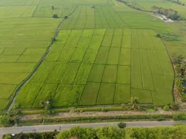  Grundstück zu verkaufen in Mae Rim, Chiang Mai, San Pong, Mae Rim