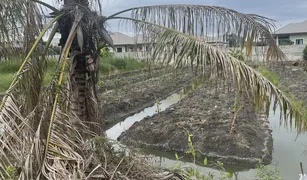 佛统 Khlong Mai N/A 土地 售 
