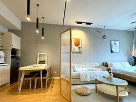 Studio Appartement zu vermieten im Sky Arts Manila, Malate