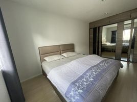 3 Schlafzimmer Reihenhaus zu vermieten im Baan Klang Muang Sukhumvit 77, Suan Luang