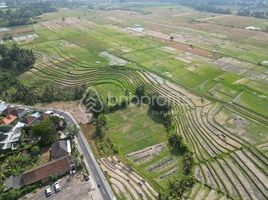  Grundstück zu verkaufen in Tabanan, Bali, Kediri