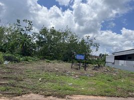  Grundstück zu verkaufen in Mueang Trat, Trat, Nong Samet