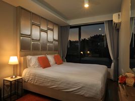 1 Schlafzimmer Appartement zu verkaufen im 6th Avenue Surin, Choeng Thale, Thalang