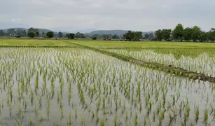 ขายที่ดิน N/A ใน สันโป่ง, เชียงใหม่ 