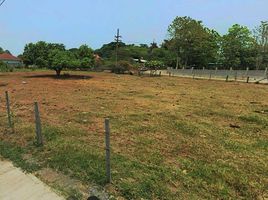  Land for sale in San Sai, Chiang Mai, Nong Han, San Sai