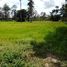  Land for sale in Chonnabot, Khon Kaen, Kut Phia Khom, Chonnabot