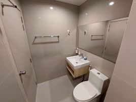 1 Bedroom Condo for rent at Nue Noble Srinakarin - Lasalle, Samrong Nuea, Mueang Samut Prakan