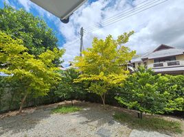 4 Schlafzimmer Haus zu vermieten in Mueang Chiang Mai, Chiang Mai, Pa Daet, Mueang Chiang Mai